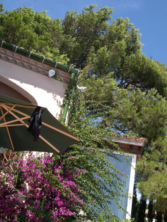 Mas Du Soleilla Konuk evi Narbonne Dış mekan fotoğraf