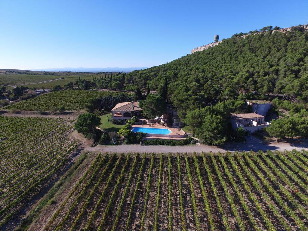 Mas Du Soleilla Konuk evi Narbonne Dış mekan fotoğraf