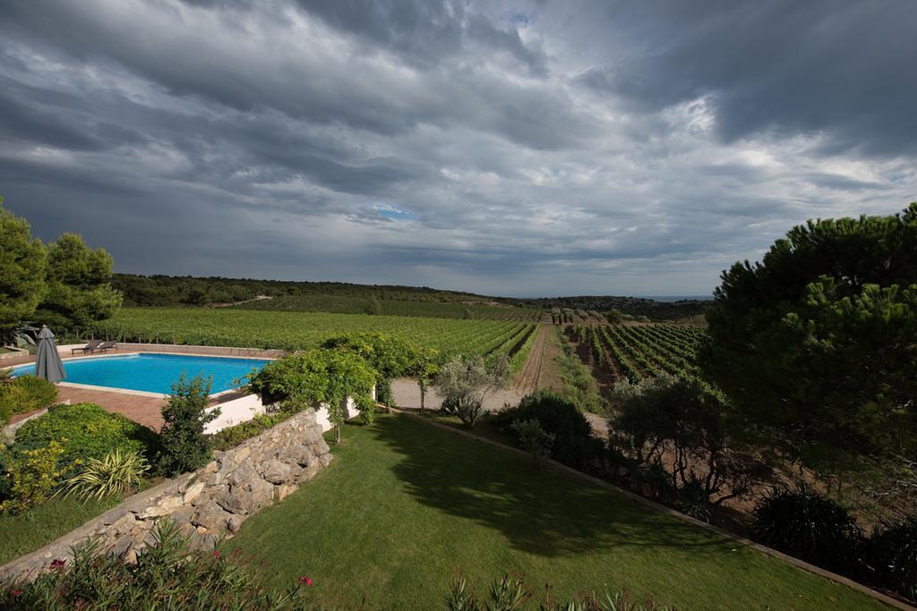 Mas Du Soleilla Konuk evi Narbonne Dış mekan fotoğraf