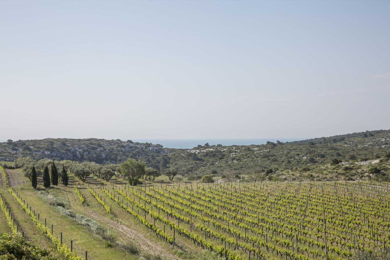 Mas Du Soleilla Konuk evi Narbonne Dış mekan fotoğraf